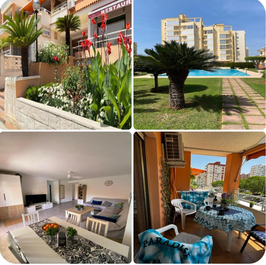 Apartamento PARADISE Solo Familias Gandia Bagian luar foto