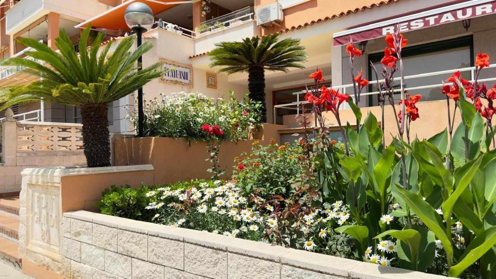 Apartamento PARADISE Solo Familias Gandia Bagian luar foto