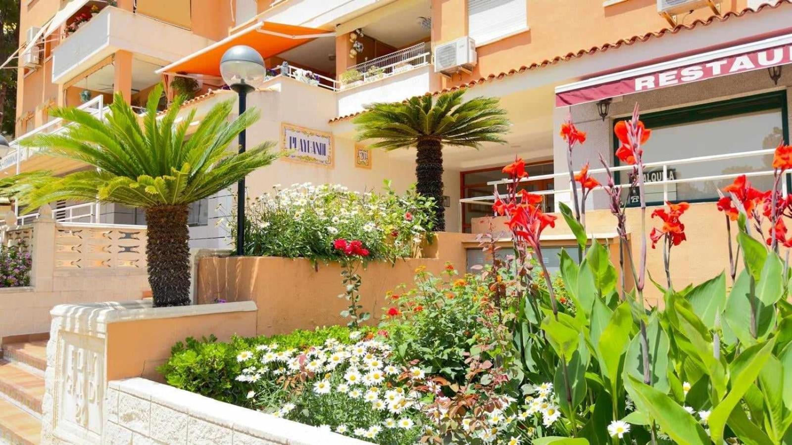 Apartamento PARADISE Solo Familias Gandia Bagian luar foto