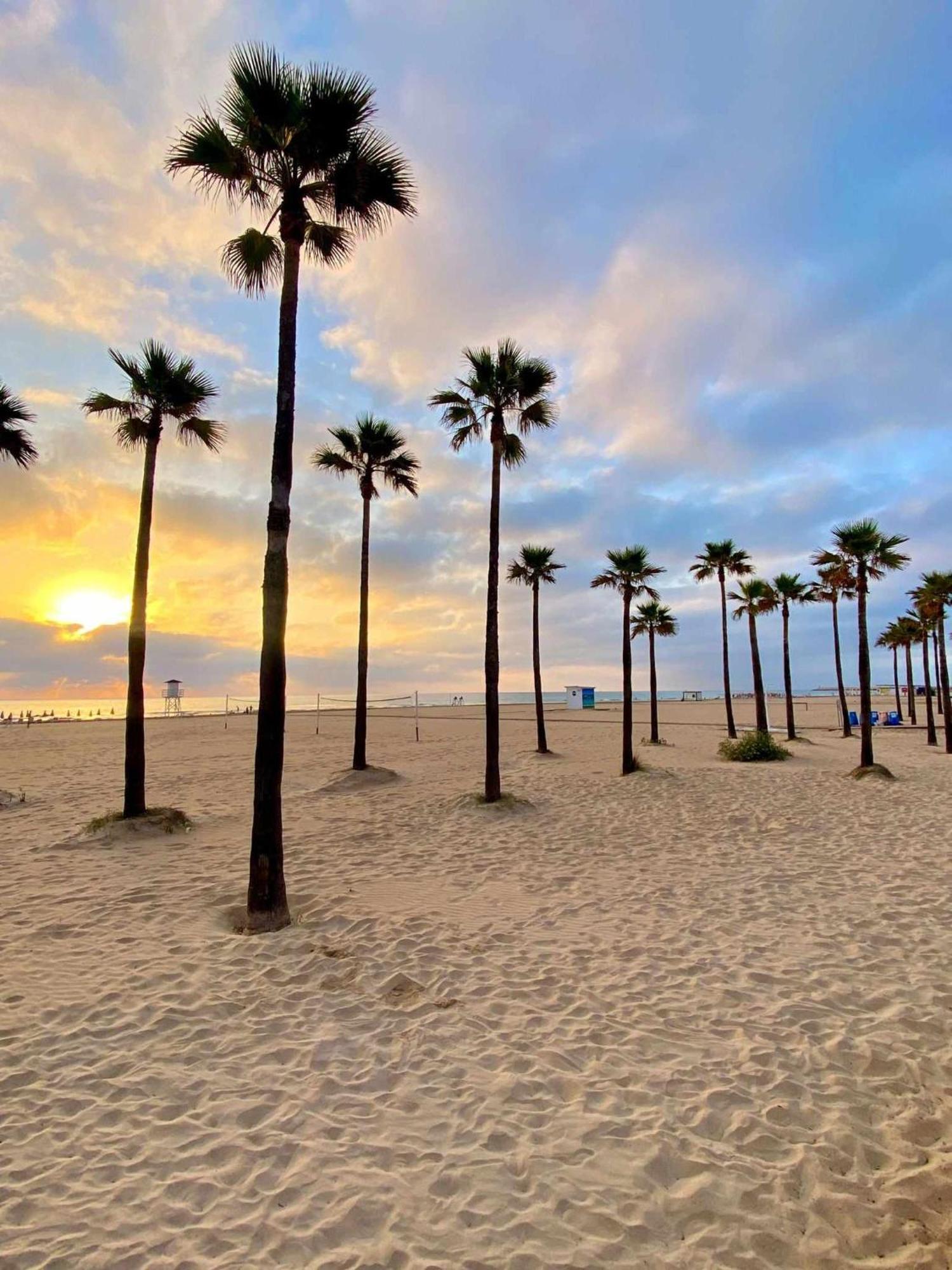 Apartamento PARADISE Solo Familias Gandia Bagian luar foto